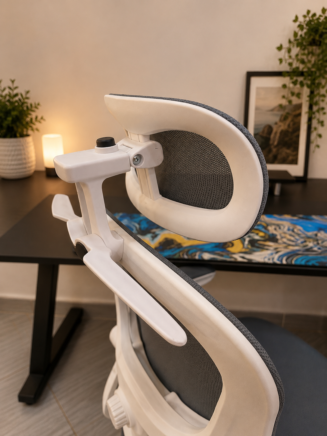 CHAISE ERGONOMIQUE ROYAUME
