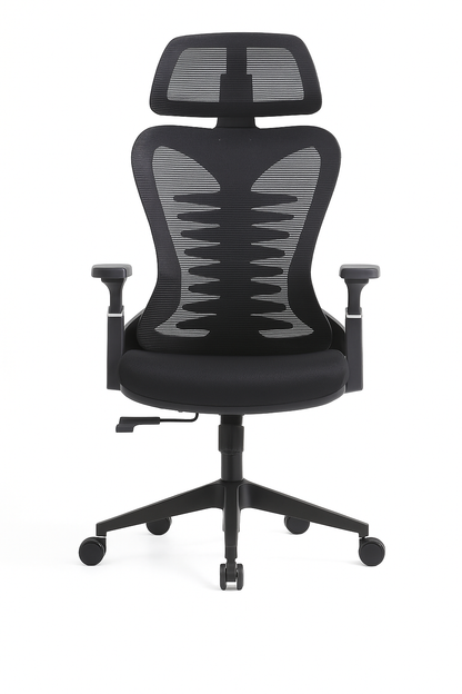 FAUTEUIL ERGONOMIQUE B38