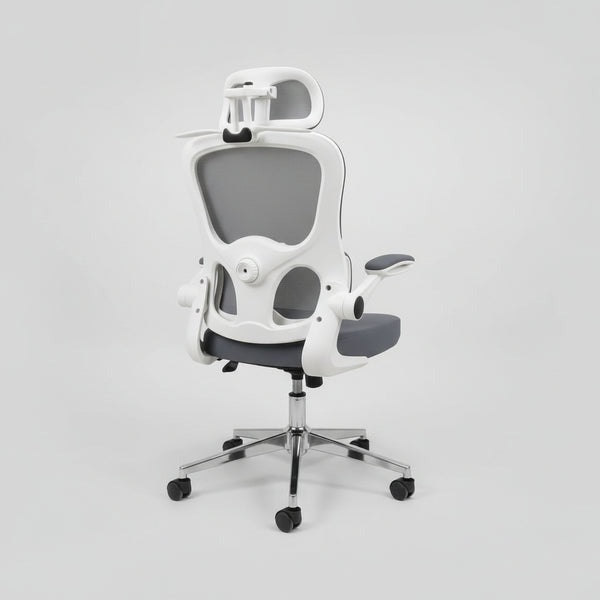 CHAISE ERGONOMIQUE ROYAUME