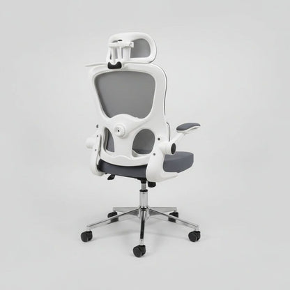 CHAISE ERGONOMIQUE ROYAUME