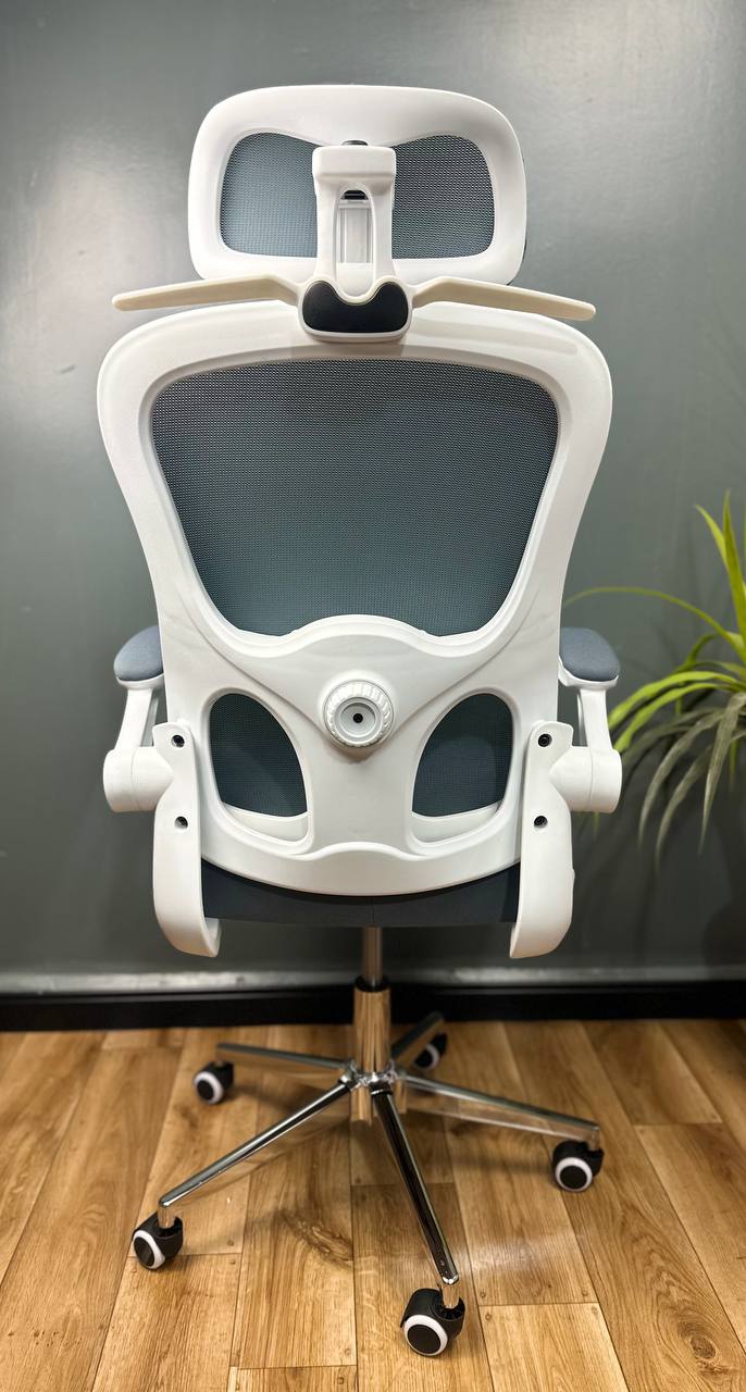 CHAISE ERGONOMIQUE ROYAUME