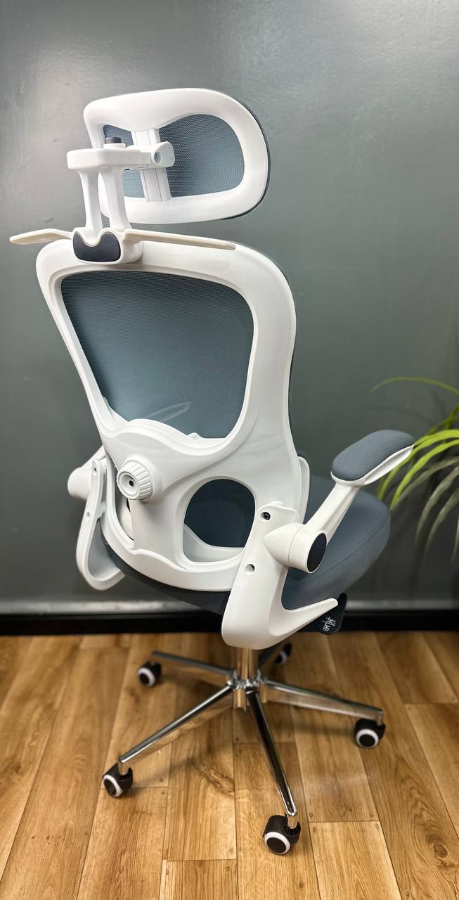 CHAISE ERGONOMIQUE ROYAUME