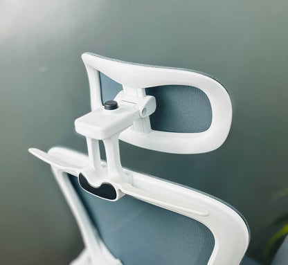 CHAISE ERGONOMIQUE ROYAUME