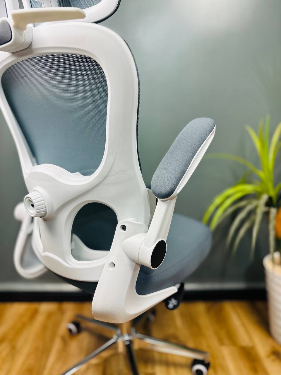 CHAISE ERGONOMIQUE ROYAUME