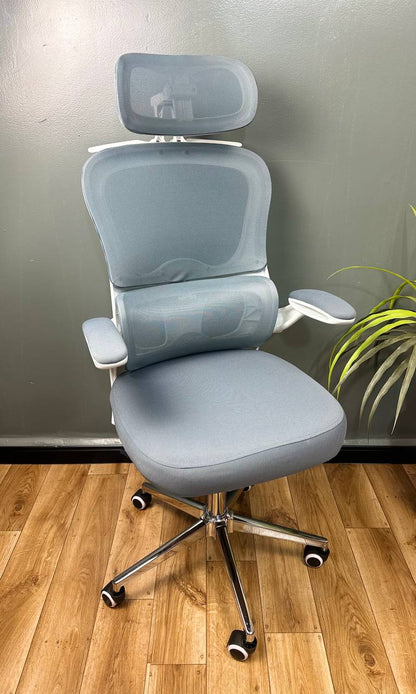 CHAISE ERGONOMIQUE ROYAUME