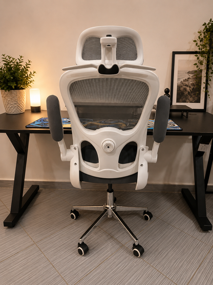CHAISE ERGONOMIQUE ROYAUME