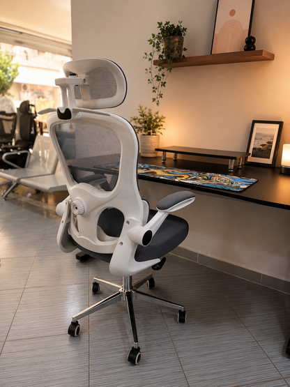 CHAISE ERGONOMIQUE ROYAUME