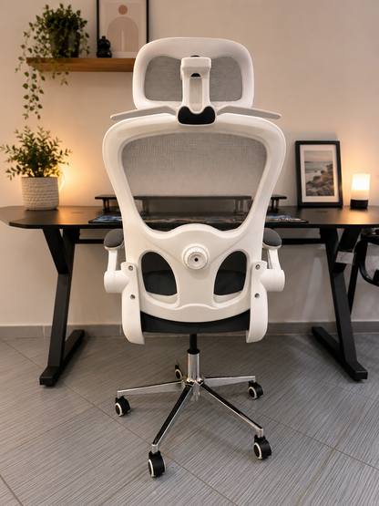 CHAISE ERGONOMIQUE ROYAUME