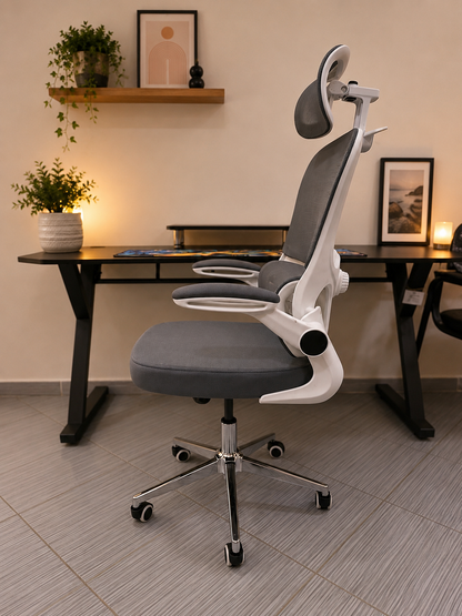CHAISE ERGONOMIQUE ROYAUME
